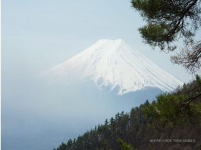 プランの魅力 見事な富士山の眺望 の画像