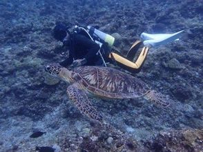 プランの魅力 随着第二次潜水服务 の画像