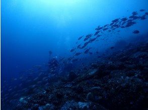 プランの魅力 冠ブルー・・・Ⅲ。 の画像