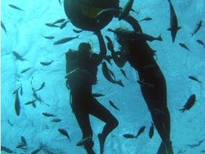 プランの魅力 透明度が良く、とっても綺麗!! の画像