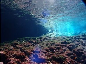 プランの魅力 宮古島の幻想的な海中を泳ぐ の画像