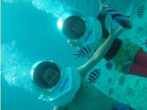 プランの魅力 Enjoy a walk on the seabed! の画像