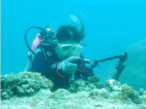 プランの魅力 海の世界を楽しみましょう！ の画像