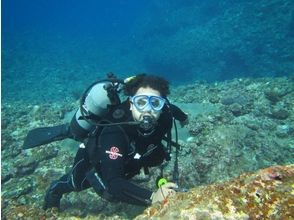 プランの魅力 มาตรฐานของ PADI มีให้เป็นไปตาม の画像