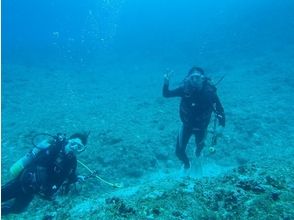 プランの魅力 培養熱愛大自然的潛水員 の画像