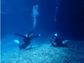 プランの魅力 资深讲师的礼貌演讲 の画像