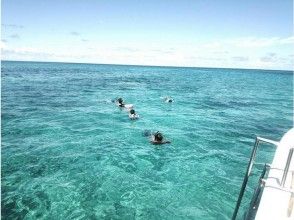 プランの魅力 沖縄の美しく輝く海を体感 の画像