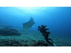 プランの魅力 冬季はマンタに会えるかも！ の画像