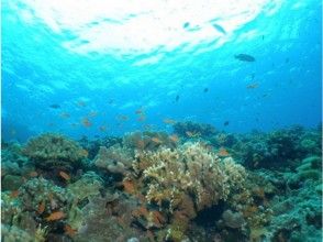 プランの魅力 海の碧と太陽の青☆アクティブに楽しもう♪ふたつのブルーが交わる場所で の画像