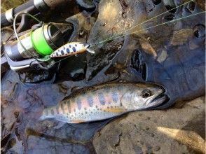 プランの魅力 "I caught it ~ ♪" Open your eyes in the mountain stream of Oirase! Enjoyment of river fishing & appreciation for nature の画像