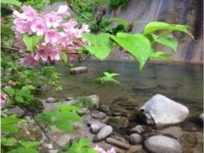 プランの魅力 春季，夏季，秋季，迷人的山間小溪多姿多彩的妝容 の画像