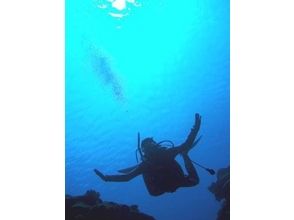 プランの魅力 Okinawa's famous diving spot is a diving training place の画像