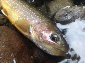 プランの魅力 魚從水里冒出來☆河上的寶石！各種各樣的相遇和粉碎系列♪ の画像