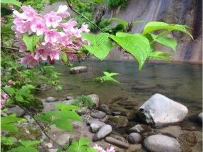 プランの魅力 Okuirase的美麗風景每季都會改變。 の画像