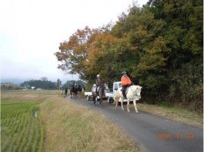 プランの魅力 From riverbed to farm road の画像