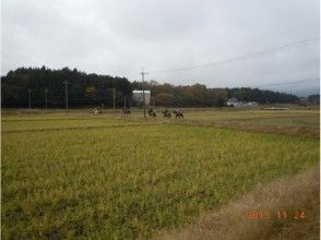 プランの魅力 河川敷コースで駆足 の画像