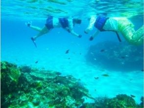 プランの魅力 Snorkeling underwater の画像