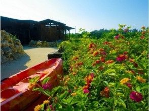 プランの魅力 出發前的宮古島綠色 の画像