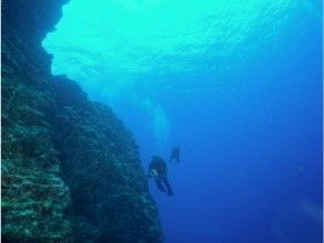 プランの魅力 更深，更有趣♪讓我們盡情享受潛水樂趣！ の画像