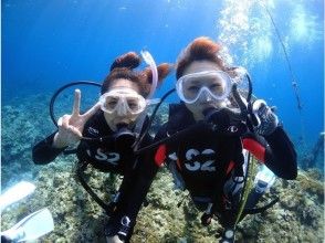 プランの魅力 素敵な水中写真を撮影します の画像