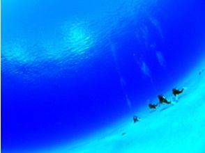 プランの魅力 石垣北部の海だからこそ、この透明感！石垣ブルーを体験 の画像