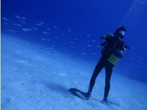 プランの魅力 五 の画像