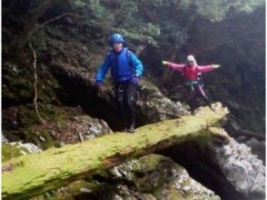 プランの魅力 一桥集中，慢慢地 の画像