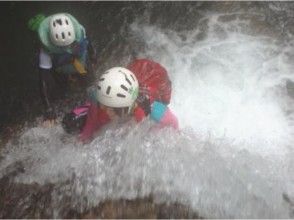 プランの魅力 感受流动和攀爬 の画像