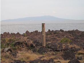 プランの魅力 イガイガ根 の画像