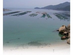 プランの魅力 思考海底世界 の画像