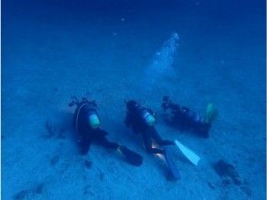 プランの魅力 家族や仲間と美しい海の中をゆったりと散策 の画像