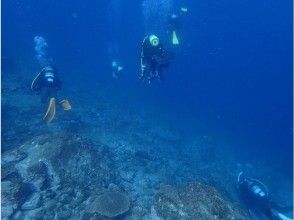 プランの魅力 どんな生物に出会えるか期待が膨らみます の画像