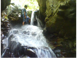 プランの魅力 在Yanbaru的绿洲中进行一次有趣的冒险之旅♪ の画像