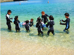 プランの魅力 從海葵 の画像