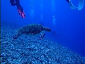 プランの魅力 有趣，無論您來多少次 の画像