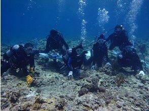 プランの魅力 冬がトップシーズン の画像