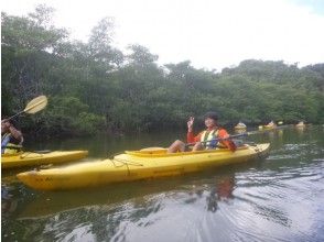 プランの魅力 カヌーで約50分漕ぎ進みます。初心者でも乗れるようになります。 の画像