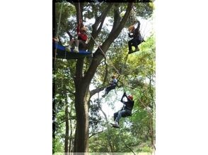 プランの魅力 To the world of tree climbing that I dreamed of. の画像