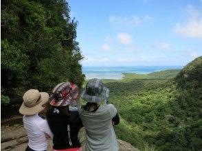 プランの魅力 The view from the top of Pinaisara Falls is very beautiful! の画像