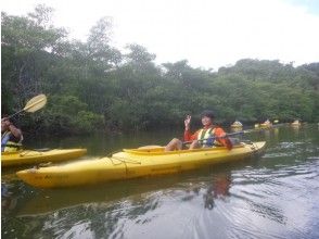 プランの魅力 Rowing for about 50 minutes by canoe. Even beginners will be able to ride. の画像