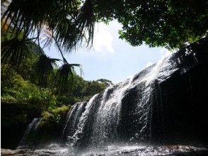 プランの魅力 幅20mの広い滝には幾筋もの川からの流水が落ちてきます の画像