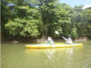 プランの魅力 Rowing for about 50 minutes by canoe. Even beginners will be able to ride. の画像