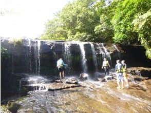 プランの魅力 You can go to the side of the waterfall without getting soaked の画像