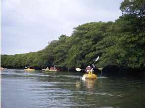 プランの魅力 カヌーで約20分漕ぎ進みます。初心者でも乗れるようになります。 の画像