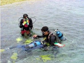 プランの魅力 Experience diving can be enjoyed even by beginners. Rest assured that we will also give a lecture の画像