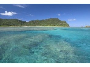 プランの魅力 西表島的海裡，各種各樣的珊瑚礁成簇生長，翠綠色的海洋散佈開來 の画像