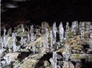 プランの魅力 大幽洞窟・氷筍（ｵｵﾕｳ・ﾋｮｳｼﾞｭﾝ）・１日コース の画像
