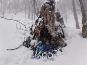 プランの魅力 雪遊び満載のアクティブ・スノーシューツアー の画像