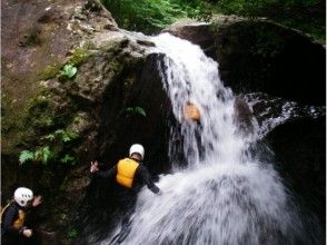 プランの魅力 Go under the waterfall の画像