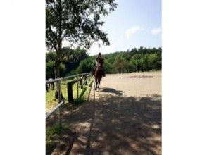 プランの魅力 I want to learn horse riding skills! With the best partner / horse の画像